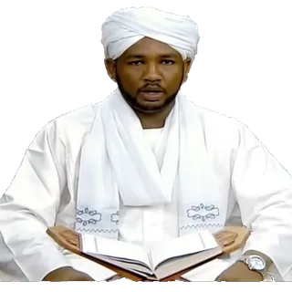 الزين محمد أحمد