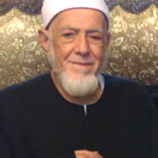 أحمد عامر