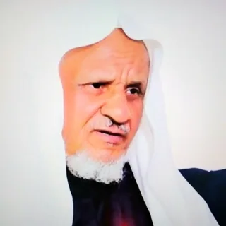 أحمد خليل شاهين