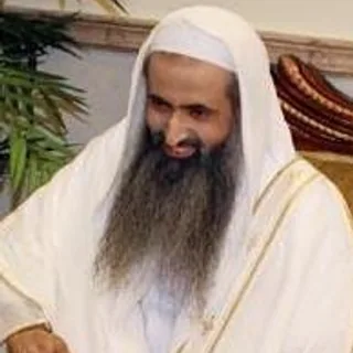 أحمد الحواشي